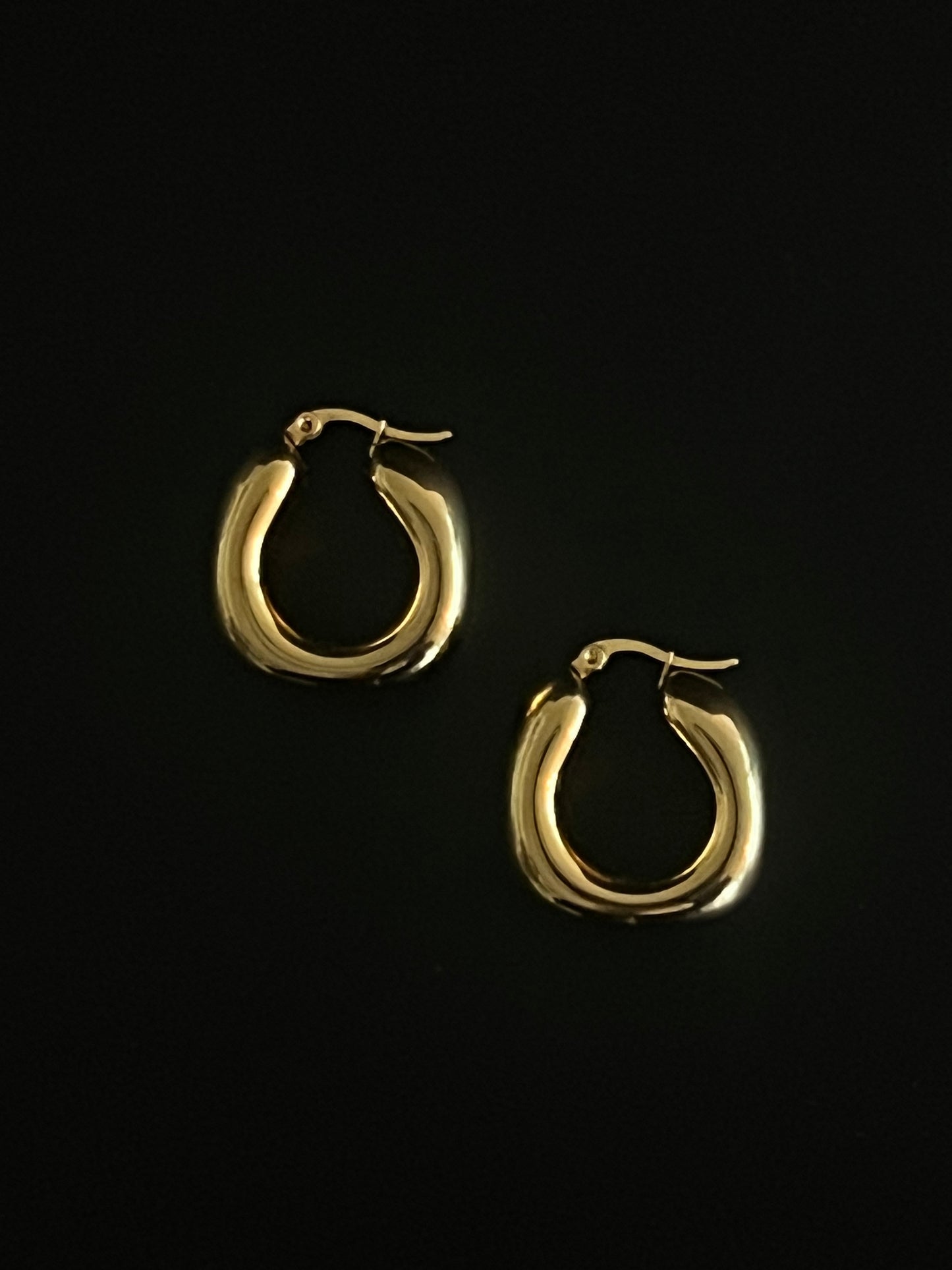 earrings no. 2